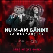 Nu m-am gandit la despartire (Cristi Nitzu & NA-NO Remix)