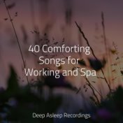 40 Comforting Songs for Working and Spa