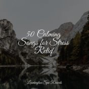 50 Calming Songs for Stress Relief