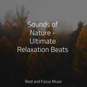 Sounds of Nature - Ultimate Relaxation Beats