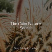 The Calm Nature Sounds