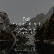 Fall Compilation | Sleep and Serenity