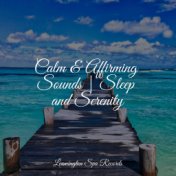 Calm & Affirming Sounds | Sleep and Serenity