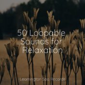 50 Loopable Sounds for Relaxation