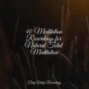 40 Meditation Recordings for Natural Total Meditation