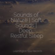 Sounds of Nature | Soft Sounds | Deep, Restful Sleep
