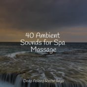 40 Ambient Sounds for Spa Massage