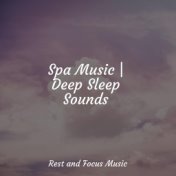 Spa Music | Deep Sleep Sounds