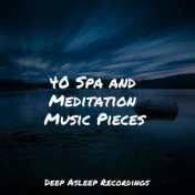 40 Spa and Meditation Music Pieces