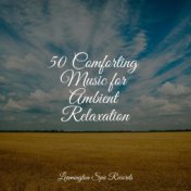 50 Comforting Music for Ambient Relaxation