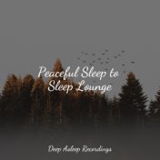 Peaceful Sleep to Sleep Lounge