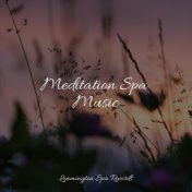 Meditation Spa Music