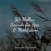 50 Mellow Sounds for Spa & Meditation