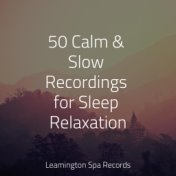 50 Calm & Slow Recordings for Sleep Relaxation