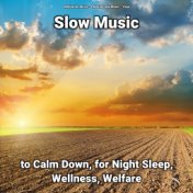 Slow Music to Calm Down, for Night Sleep, Wellness, Welfare