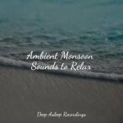 Ambient Monsoon Sounds to Relax