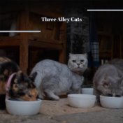 Three Alley Cats