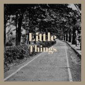 Little Things