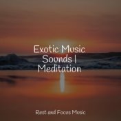 Exotic Music Sounds | Meditation