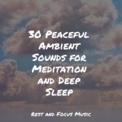 30 Peaceful Ambient Sounds for Meditation and Deep Sleep
