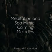 Meditation and Spa Music | Calming Melodies