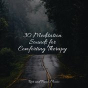 30 Meditation Sounds for Comforting Therapy