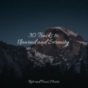 30 Tracks to Unwind and Serenity