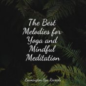 The Best Melodies for Yoga and Mindful Meditation