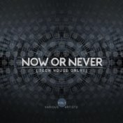 Now Or Never, Vol. 1 (Tech House ONLY!)