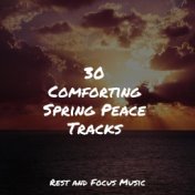 30 Comforting Spring Peace Tracks