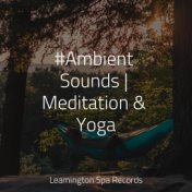 #Ambient Sounds | Meditation & Yoga
