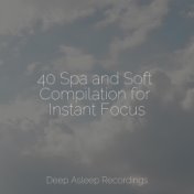 40 Spa and Soft Compilation for Instant Focus
