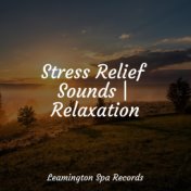 Stress Relief Sounds | Relaxation