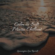 Calm & Soft Music Chillout