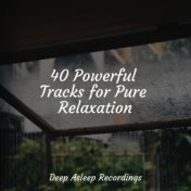 40 Powerful Tracks for Pure Relaxation