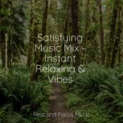 Satisfying Music Mix - Instant Relaxing & Vibes