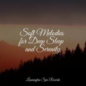Soft Melodies for Deep Sleep and Serenity