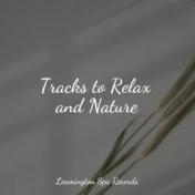 Tracks to Relax and Nature