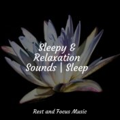 Sleepy & Relaxation Sounds | Sleep