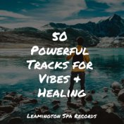 50 Powerful Tracks for Vibes & Healing