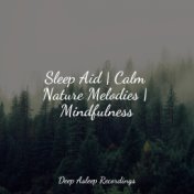 Sleep Aid | Calm Nature Melodies | Mindfulness