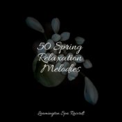 50 Spring Relaxation Melodies