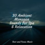 30 Ambient Monsoon Sounds for Spa & Relaxation