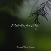 Melodies for Vibes