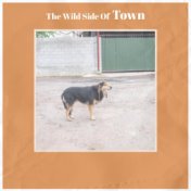 The Wild Side Of Town