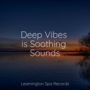 Deep Vibes is Soothing Sounds