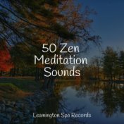 50 Zen Meditation Sounds