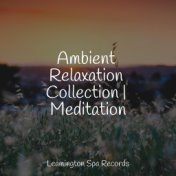 Ambient Relaxation Collection | Meditation