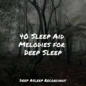 40 Sleep Aid Melodies for Deep Sleep