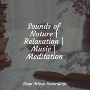 Sounds of Nature | Relaxation | Music | Meditation